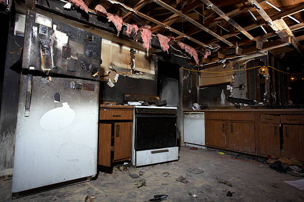 Affordable Fire Damage Removal solutions in Glenwood, MD